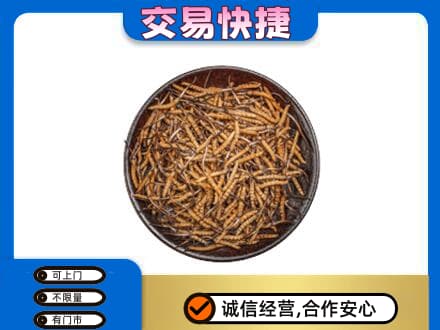哈尔滨松北高价回收散虫草